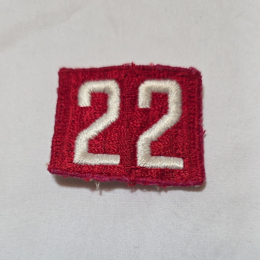Boy Scouts Troop 22 Sew On Patch